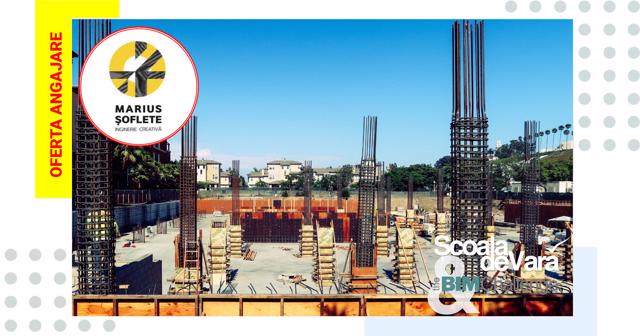 Poza produs Proiectare interdisciplinară si detaliere tehnică integrată