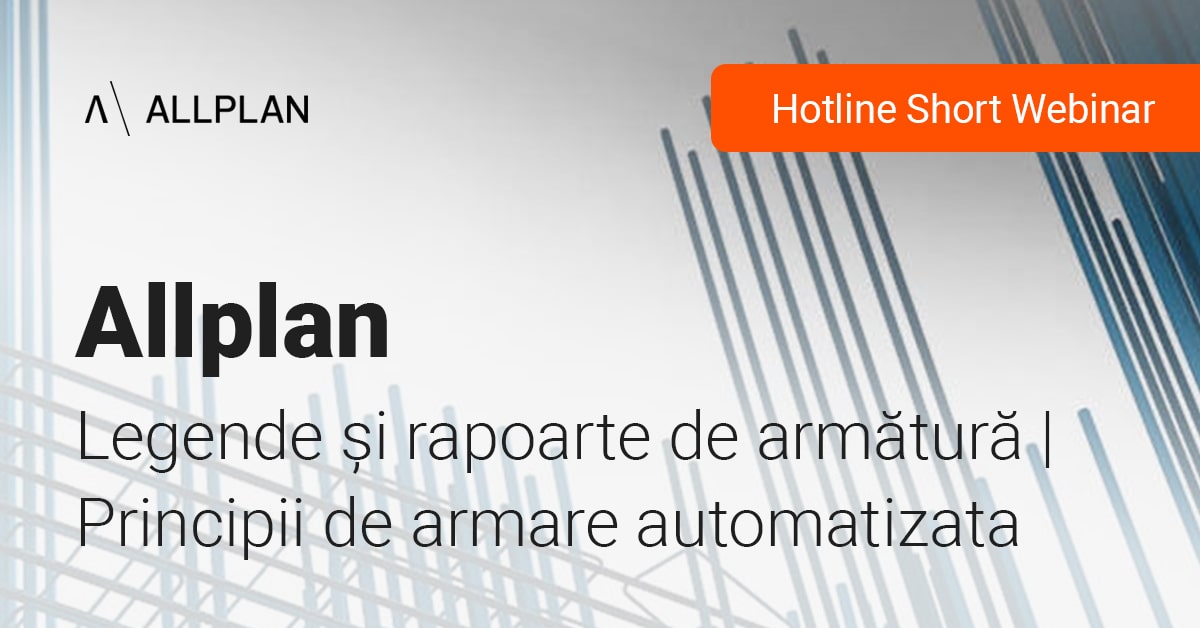 Poza produs Legende si rapoarte de armatura - principii de armare automatizata